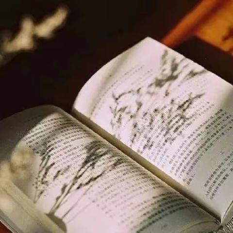 【未央教育·西航二中教育集团·西安市第五十八中学校区】书香溢校园，墨香伴我行—学生阅读分享专栏(二十六）