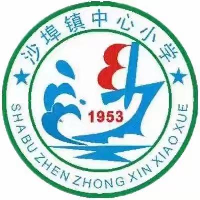 “科技梦想 伴我成长”——沙埠镇中心小学社会科学普及活动周总结