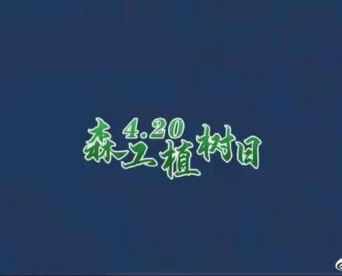 植树添绿 不负春光——民主森林经营所开展4.20“森工植树日”植树活动