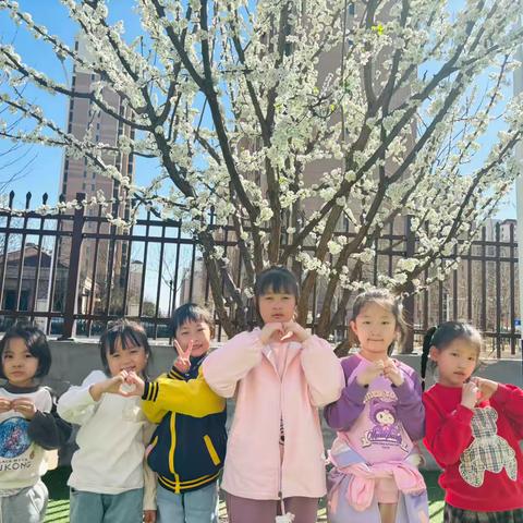 行知田场幼儿园清明节放假通知