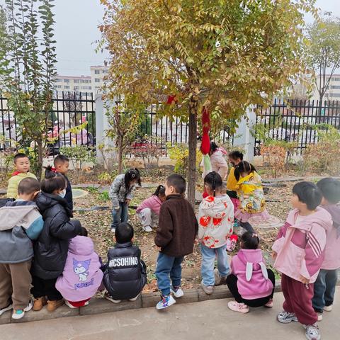 银川市兴庆区第十三幼“同悦”家园之窗中二班（第十期）