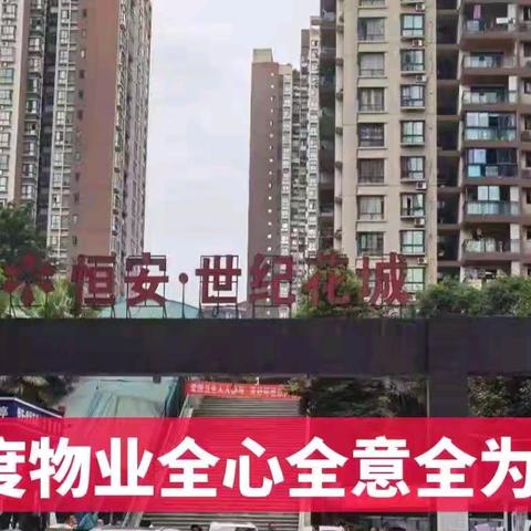 三度物业--恒安世纪花城2024年 12 月工作简报