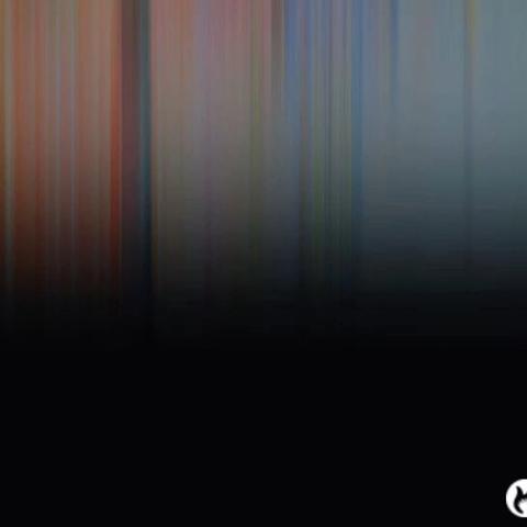 米奇之家三月份月末总结