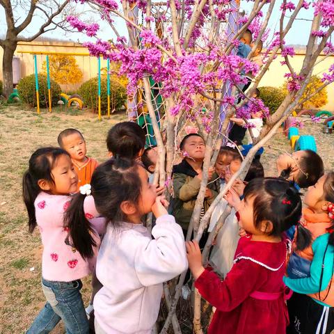 幼儿园不能小学化                    ——学前教育宣传月主题活动