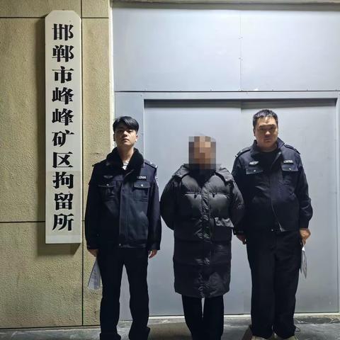 刑警七中队拘留一名涉嫌赌博违法人员。