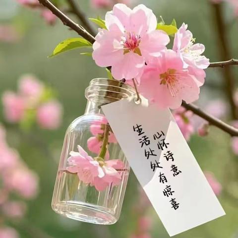 典雅花溪半岛物业4🈷️工作月报