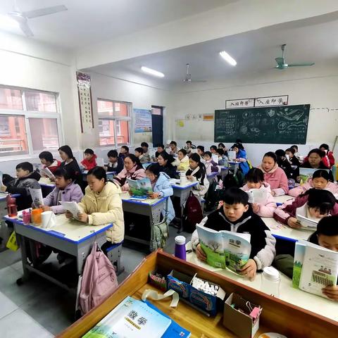 向阳而生的简篇