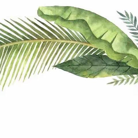 【幼小衔接宣传手册】衔而有道·赋能成长