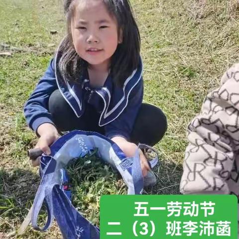 五一劳动节记录美好 二（3）班李沛菡