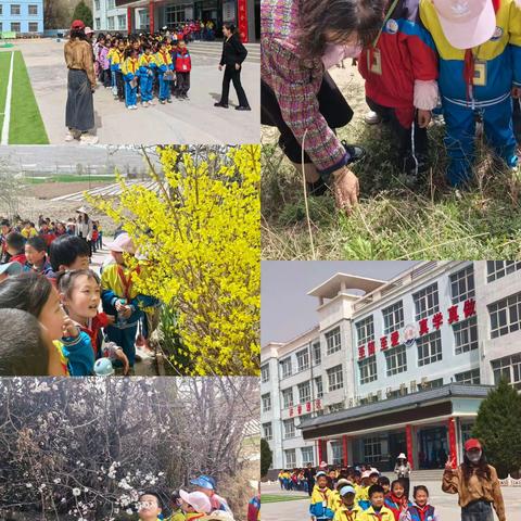 “春有约，花如期”马家堡中心小学主题习作教研活动