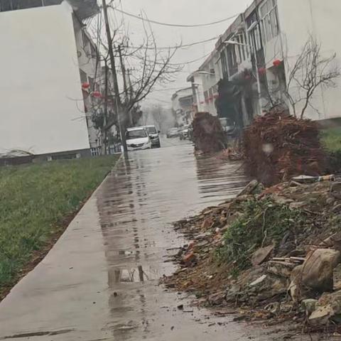 银龄守护行，贴心上门情