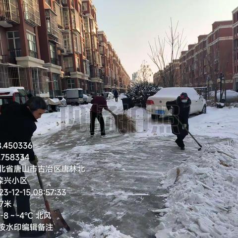 雪意浓 情更浓