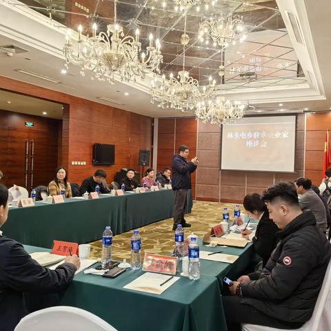 林头屯乡召开驻京企业家座谈会