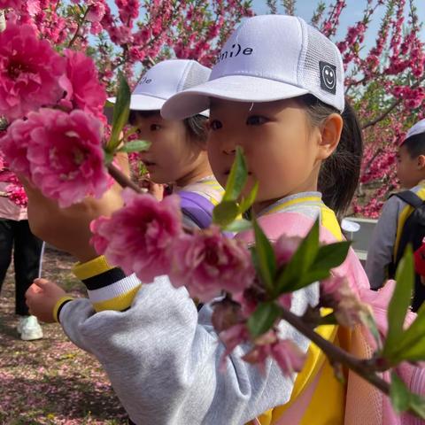 《大林寺桃花》