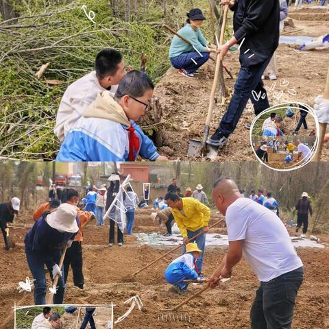 乐享耕种之趣，让劳动“育”见美——双苏学校校田种植活动