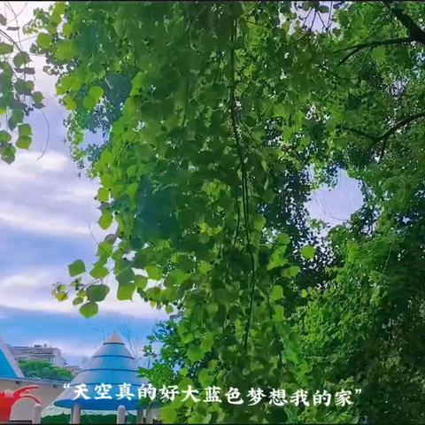 东湖幼稚园托班——第二十周精彩回顾