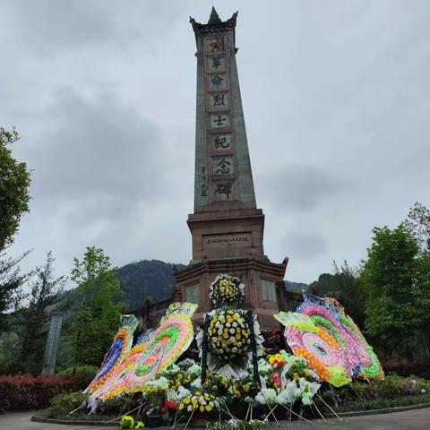 清明祭英烈，红色基因传。--708中队祭扫烈士墓实践活动。