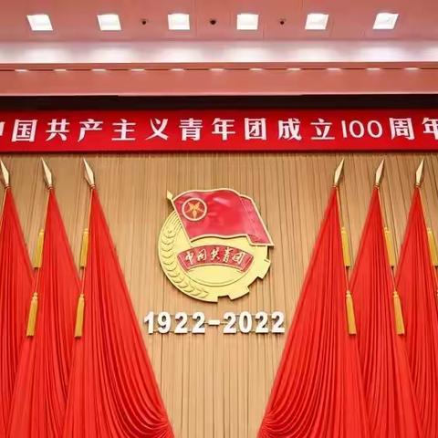 人保财险青海省分公司团委组织团员青年收看庆祝中国共青团成立100周年大会