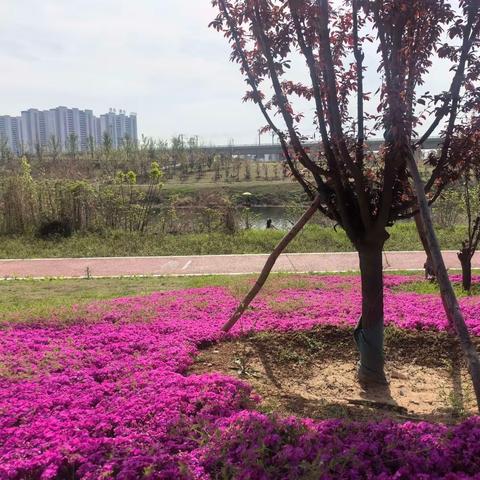 漯河实验高级中学周末安全提醒（4月12日到4月14日）