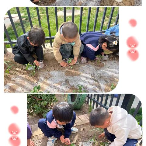 浓情五月   各绽其彩——张家川县实验幼儿园第十一周园务动态