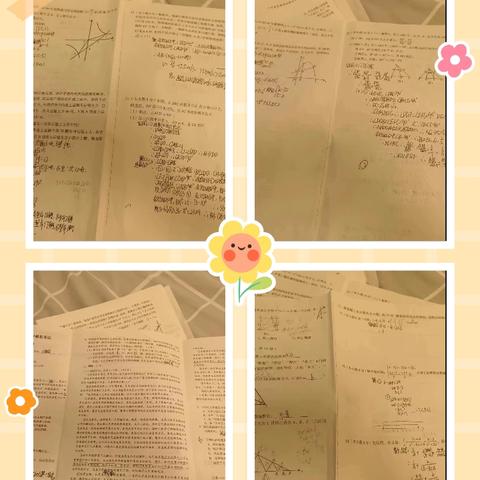 悲风白杨组总结