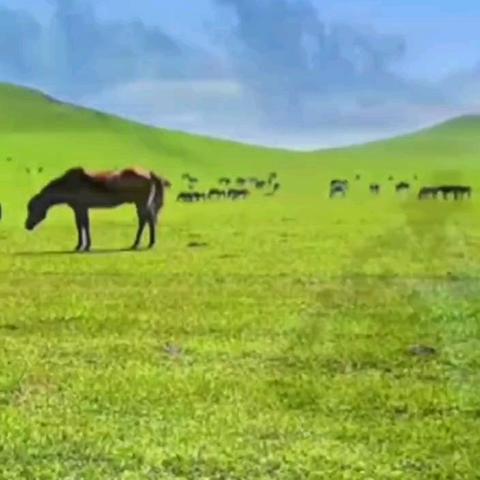 风景如画的简篇