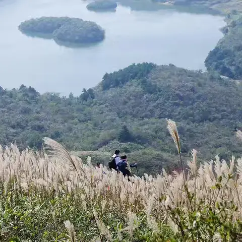 阿强户外俱乐部