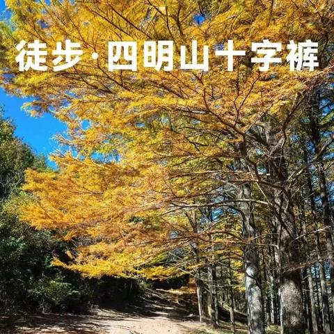 阿强户外俱乐部