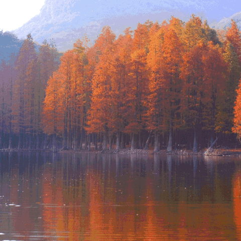 阿强户外俱乐部