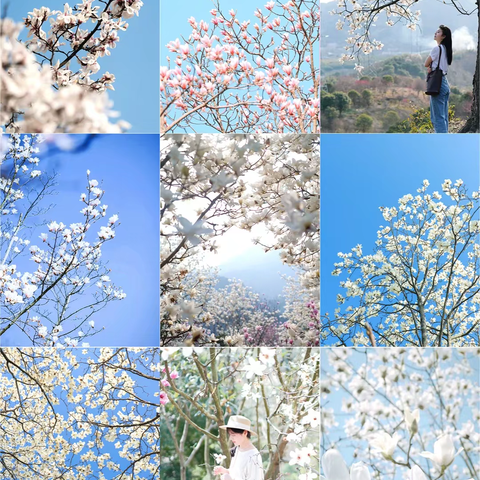 阿强户外俱乐部