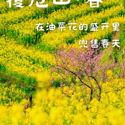 阿强户外俱乐部