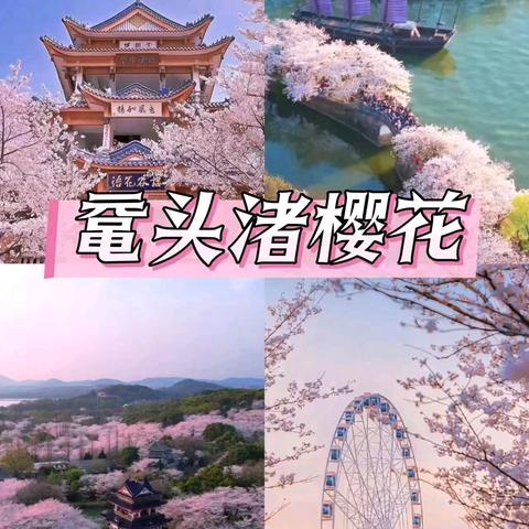 阿强户外俱乐部