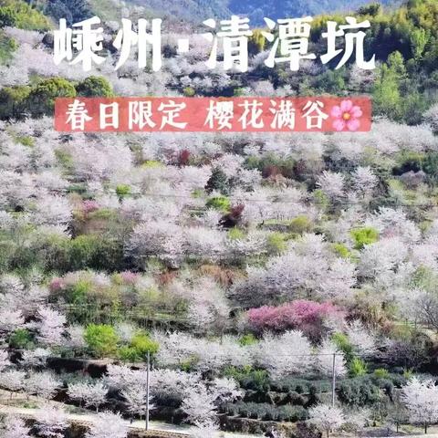 阿强户外俱乐部