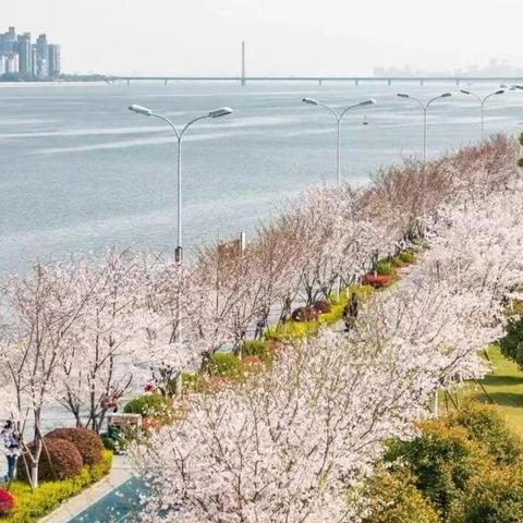 阿强户外俱乐部