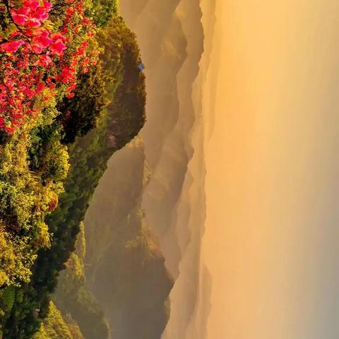 阿强户外俱乐部