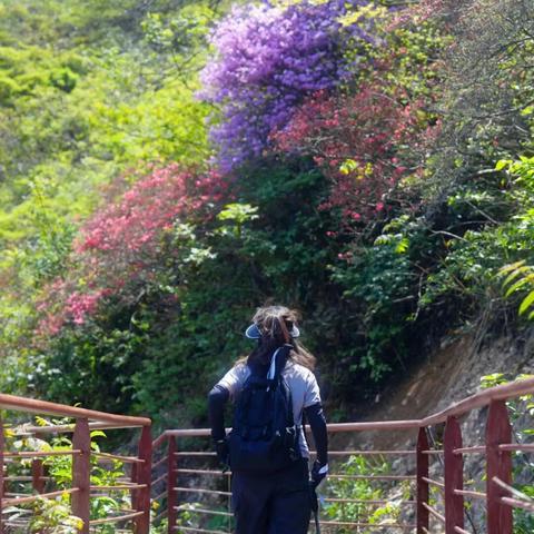 阿强户外俱乐部