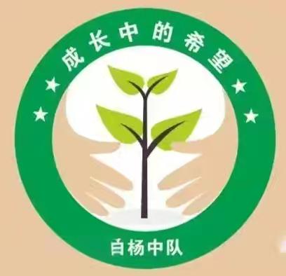 [栋梁计划]向下扎根育品格 向上生长赴未来 ——“小白杨六(2)中队” 自主管理实践录