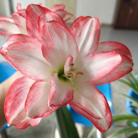 物业倡议：向小区里的各种不文明行为说“不”！