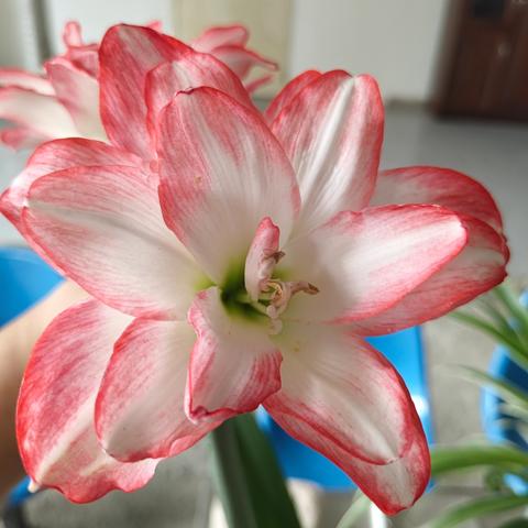 物业倡议：向小区里的各种不文明行为说“不”！