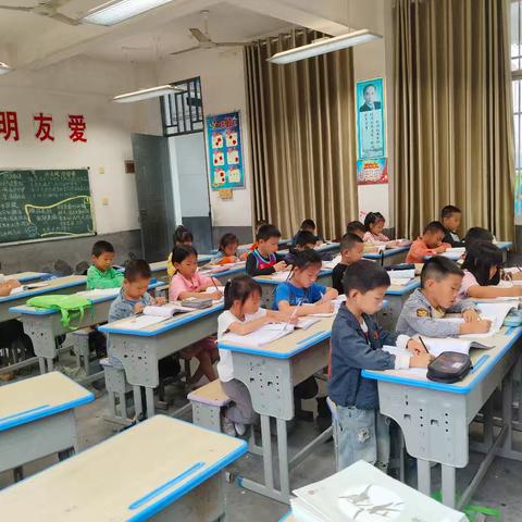 云龙小学看图写话班结课了（副本）