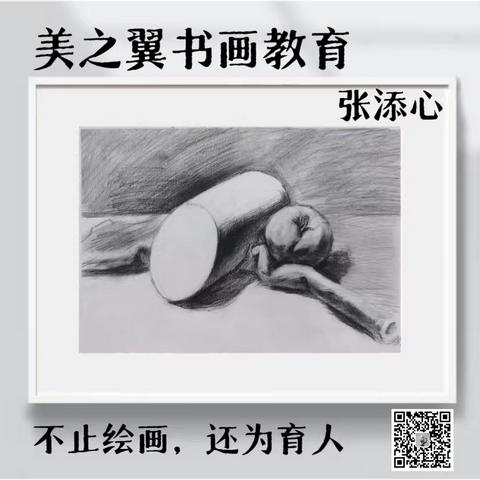 美之翼2024春季（素描A班）张添心同学优秀作品集