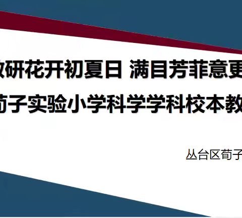 教研花开初夏日，满目芳菲意更浓——荀子实验小学科学学科校本教研