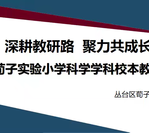 深耕教研路 聚力共成长——荀子实验小学科学学科校本教研活动纪实