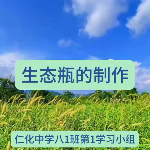 微景观生态瓶DIY ——仁化中学第二届学术节暨八年级生物学术活动