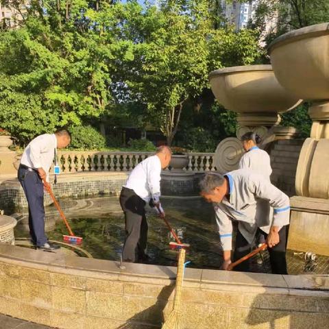 病媒生物科学防制 市容环境稳步提升——绿地世纪城社区持续开展病媒生物防制活动