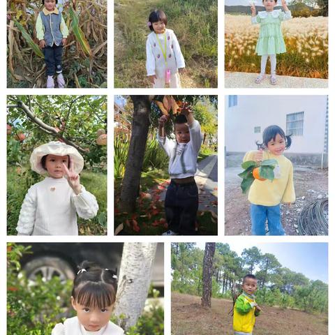 蒙小班十一月生活化课程.大地休息了