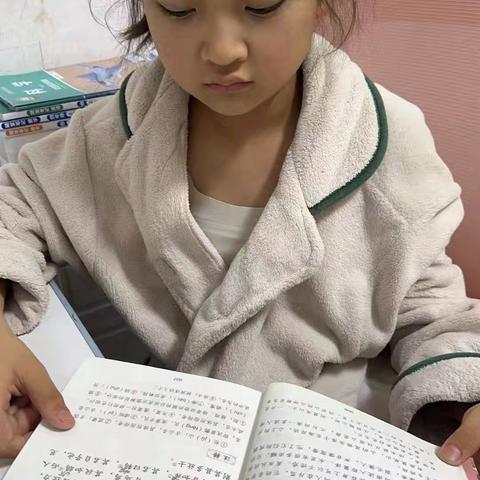 阅读的静谧时光