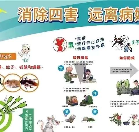 【卫生保健】预防病媒生物 守护儿童健康—送军小学病媒生物防治宣传