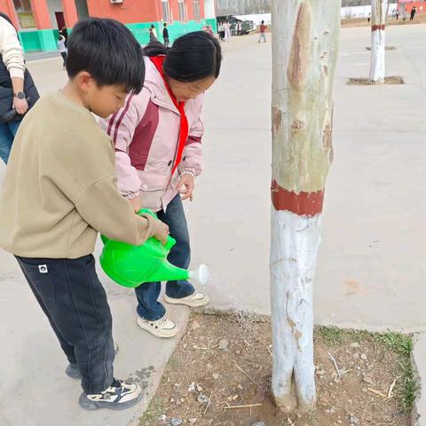 我为小树浇浇水 ‍绿色梦想共成长 ‍——泊口镇中心校第一完小 植树节﻿实践活动