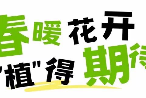 “植一抹新绿，创多彩校园”——尚店镇东白堌中心小学开展植树节主题活动